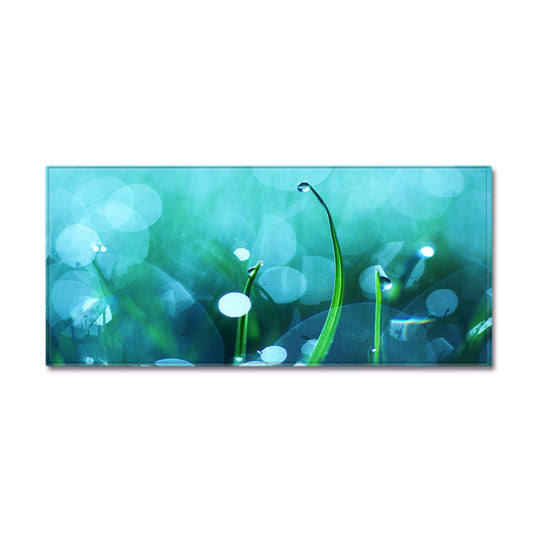 Bathroom Mats Kitchen Long Strip Bedroom Carpet Floor Mats